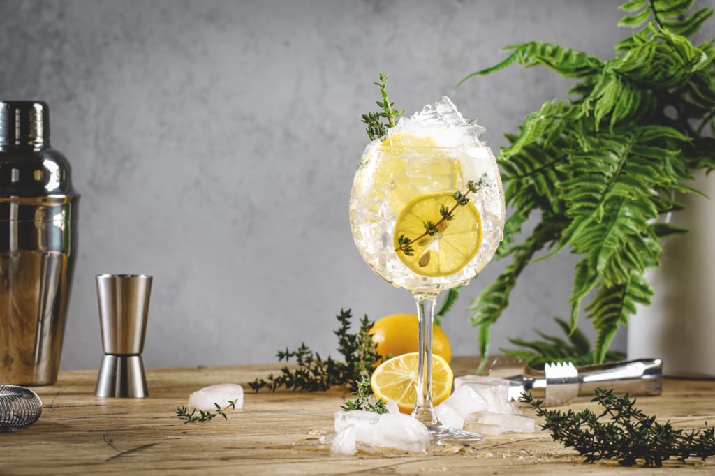 Día del Gin Tonic