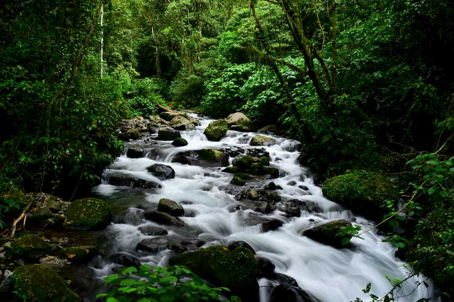 Monteverde
