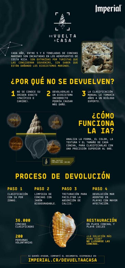 De Vuelta a Casa