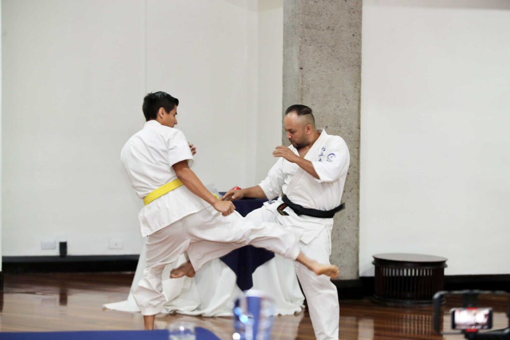 Kyokushin